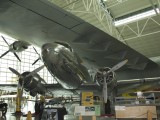 EAM_002 - A DC3A stands under the wing of the Spruce Goose
