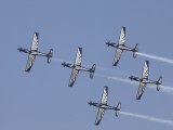 Silver Falcons-1