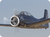 IMG_6121AP