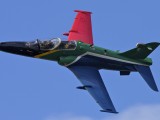 Durban_012 - SAAF Hawk in SA colours