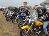 Harley's-1