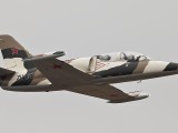 L39-1