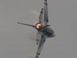 RIAT2007_089 - Vlam gat