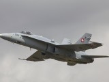 RIAT2009_184 - Swiss F18