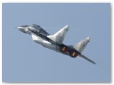 IMG_7462 - Polish Air Force MIG29