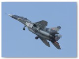 IMG_7489 - Polish Air Force MIG29