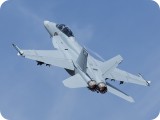 IMG_4588 - F18 Super Hornet