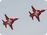 IMG_4680 - Patrouille Suisse F-5E