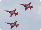IMG_4705 - Patrouille Suisse F-5E