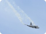 IMG_4863 - Gripen