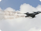 IMG_4864 - Gripen