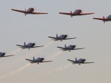 Rand_043 - Harvards with the Silver Falcons
