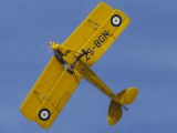 Swartkop_030 - Tiger Moth